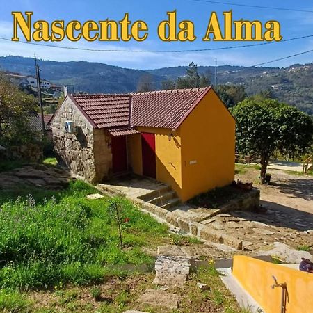 Nascente, Place In Nature Next To A Waterfall Loureiro  Extérieur photo