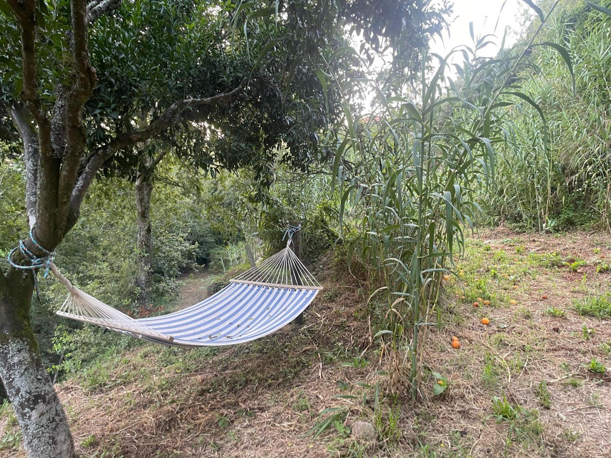Nascente, Place In Nature Next To A Waterfall Loureiro  Extérieur photo