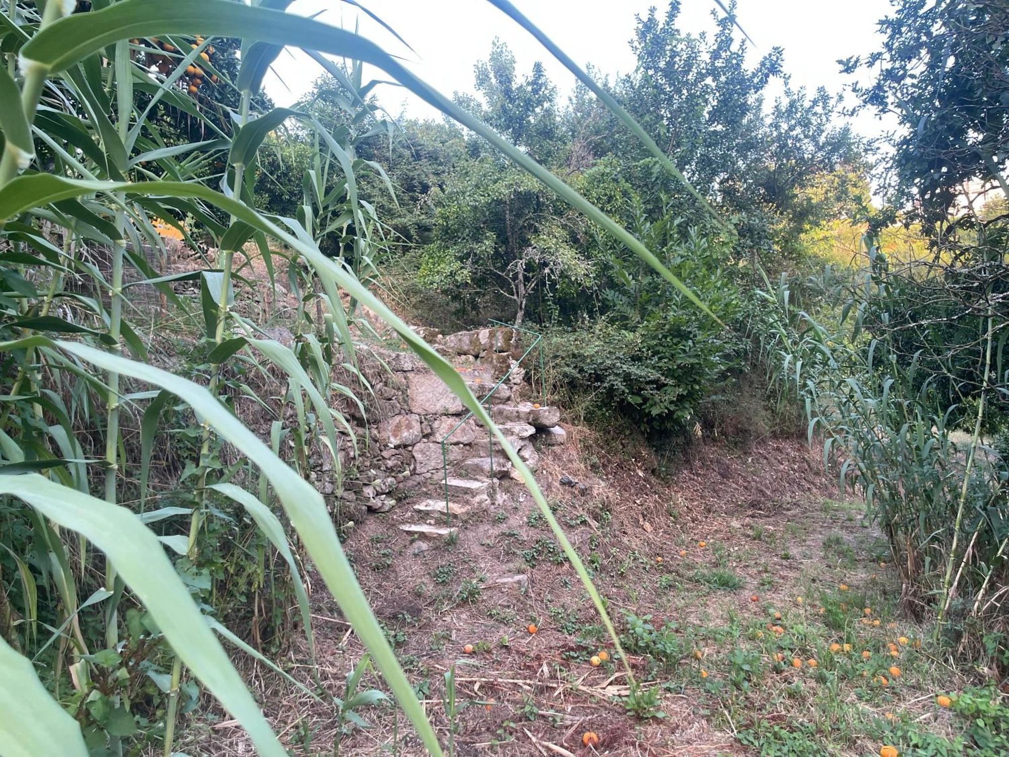 Nascente, Place In Nature Next To A Waterfall Loureiro  Extérieur photo