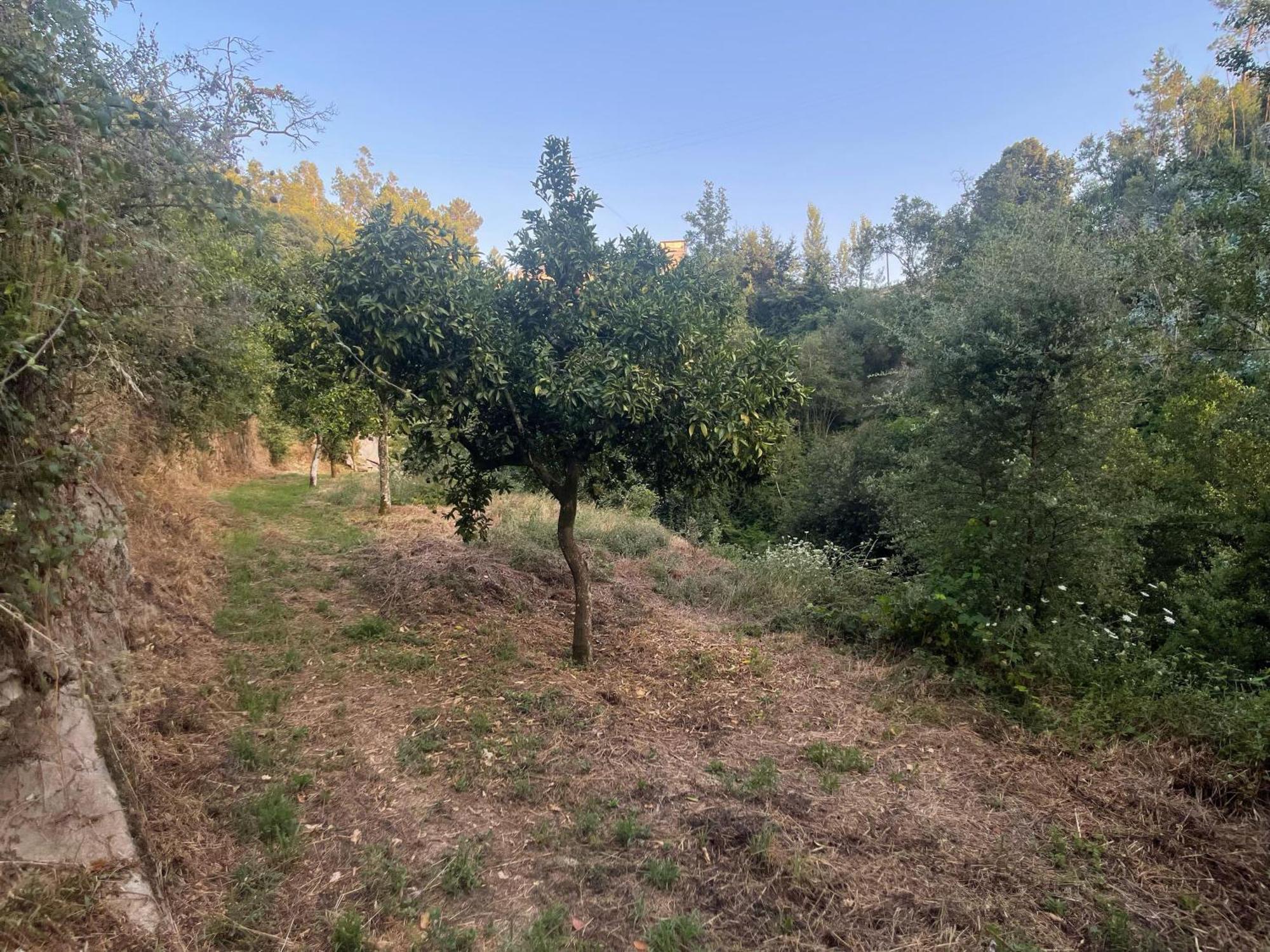 Nascente, Place In Nature Next To A Waterfall Loureiro  Extérieur photo