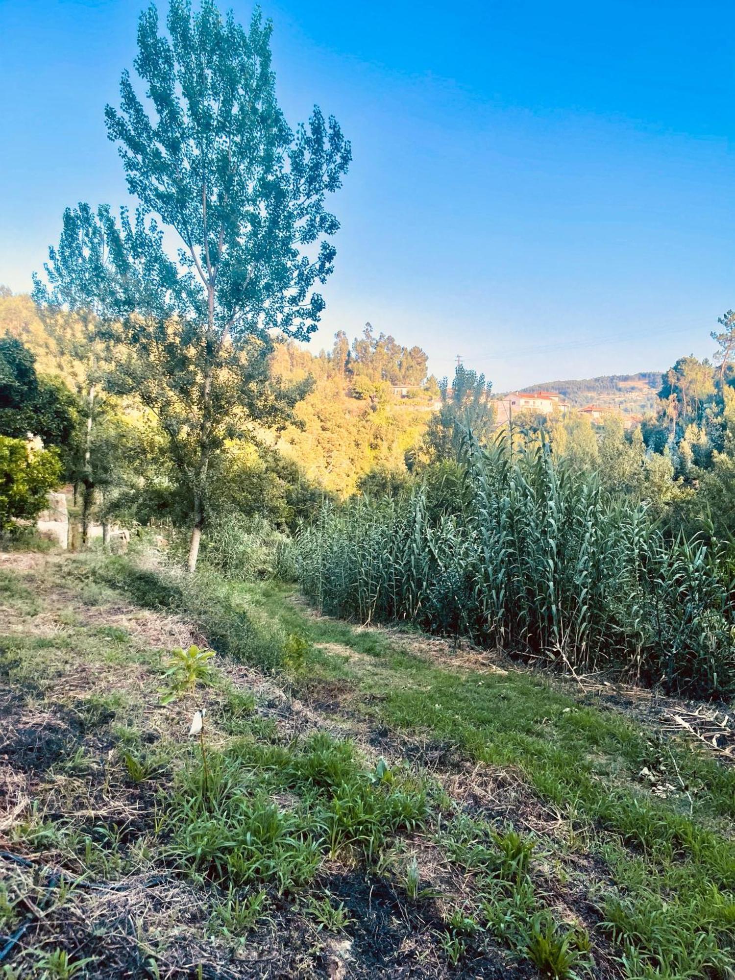 Nascente, Place In Nature Next To A Waterfall Loureiro  Extérieur photo