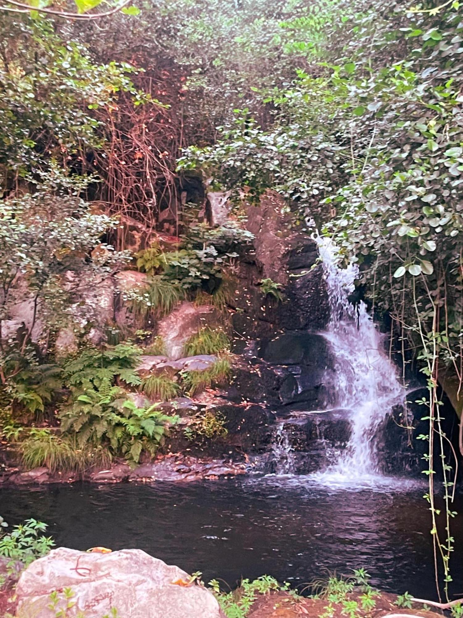 Nascente, Place In Nature Next To A Waterfall Loureiro  Extérieur photo
